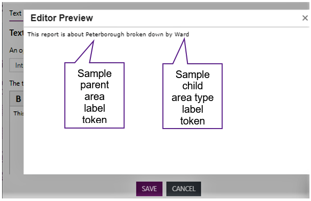 Screenshot showing the text in the Editor preview box.