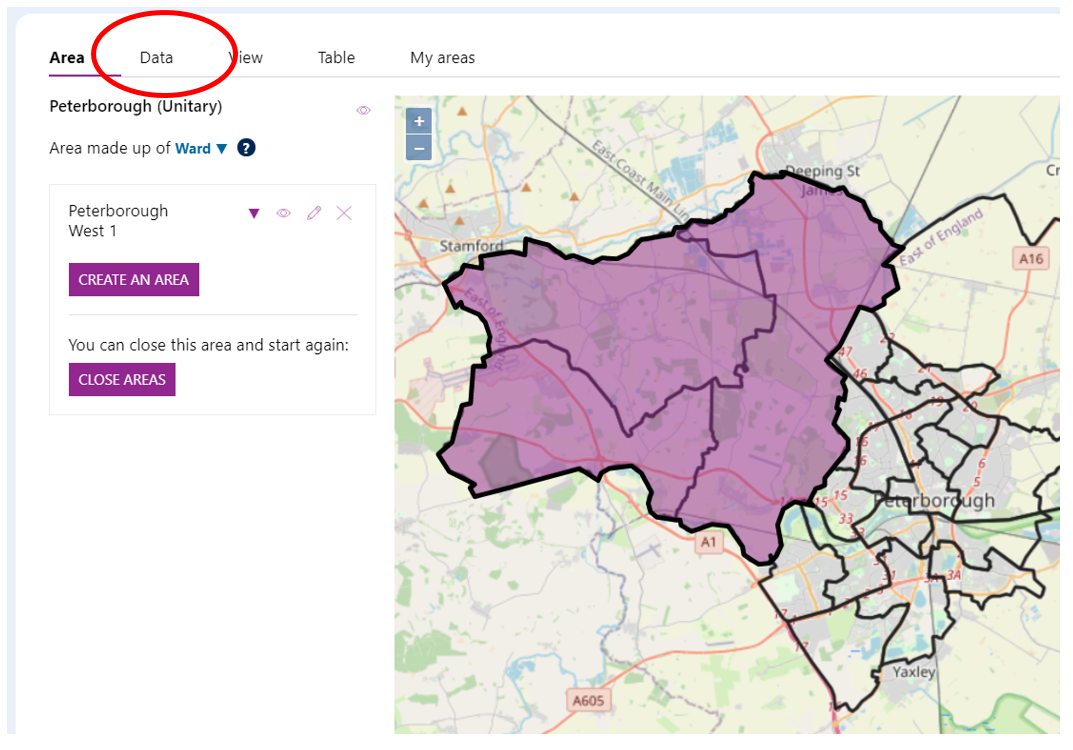 Screenshot of the new area with the 'Data' tab circled.